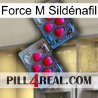 Force M Sildénafil 14